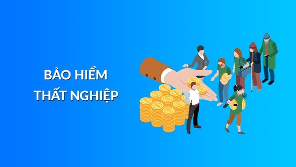 Báo cáo tình hình tham gia bảo hiểm thất nghiệp