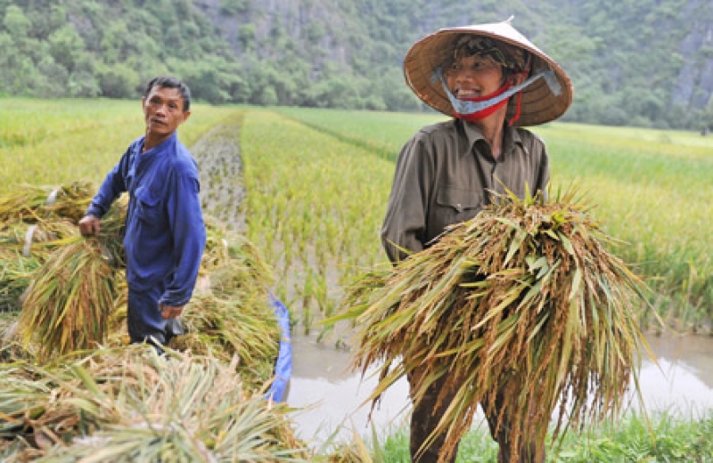 Bảo hiểm xã hội người lao động tự do có mức đóng như thế nào?