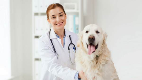 Việc làm Vĩnh Phúc giải đáp cho câu hỏi người hướng nội phù hợp với công việc gì